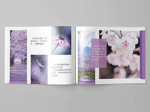 画册（视觉摄影工作室—静谧之美）