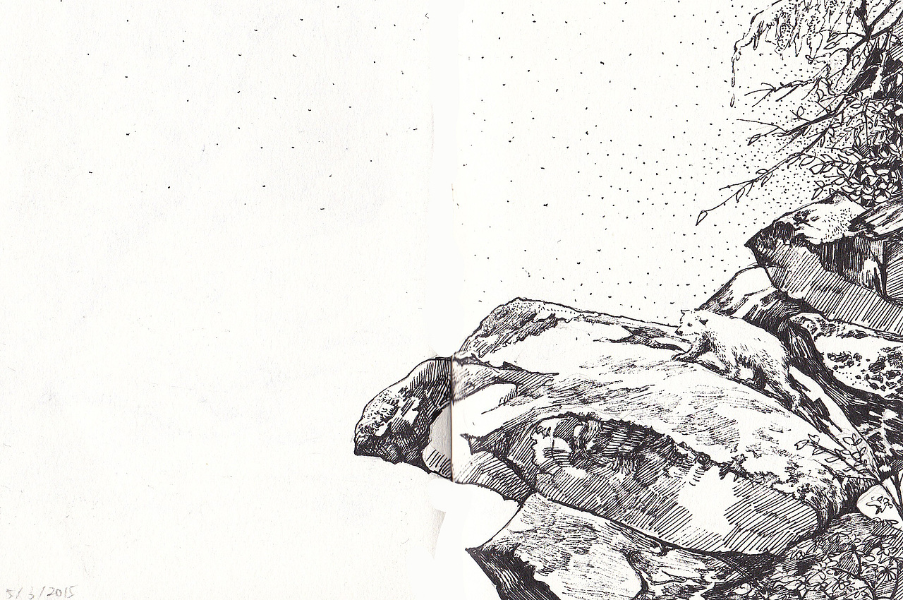 沈石溪动物小说插图