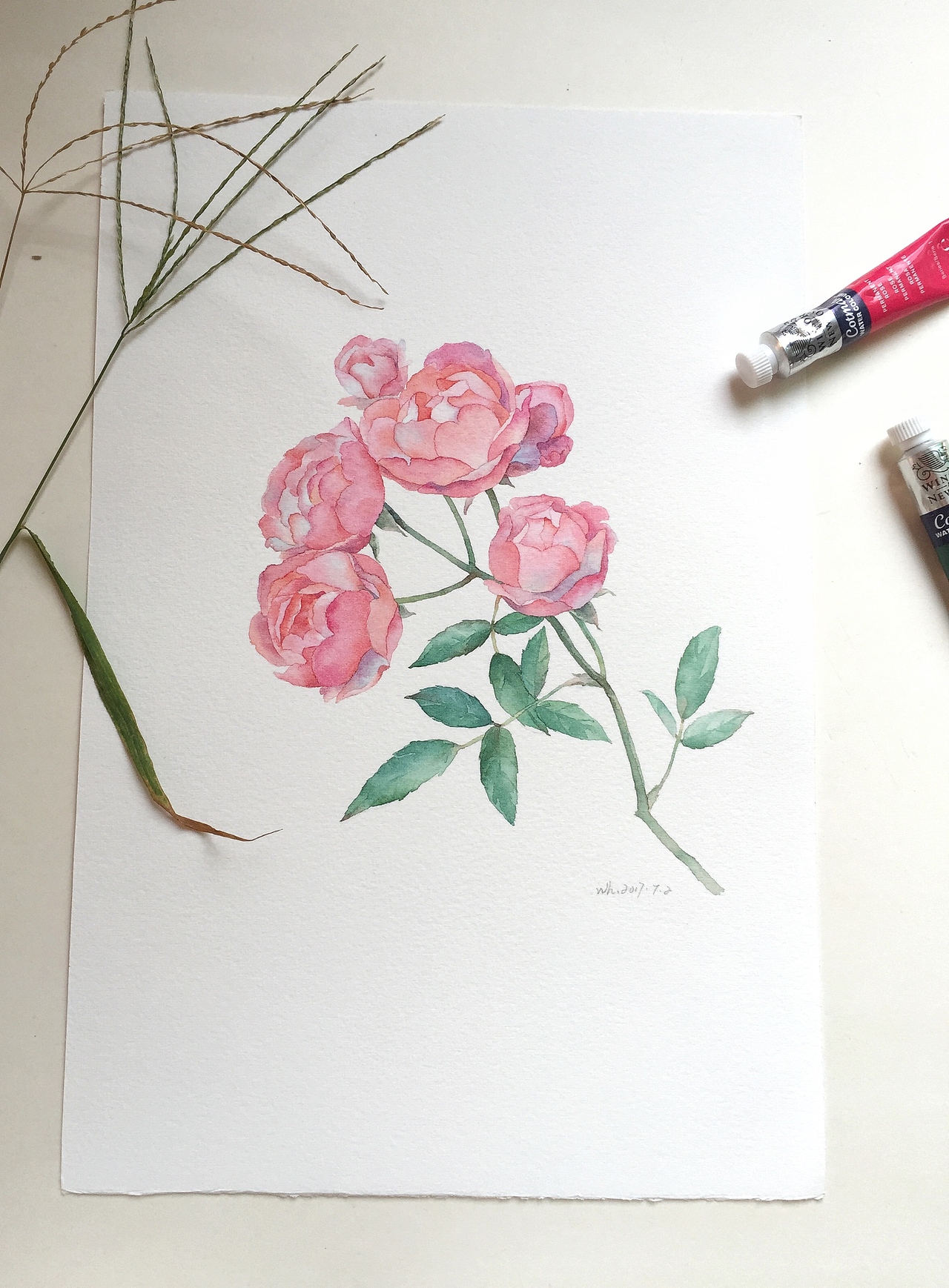 原创水彩画 水彩花卉 蔷薇