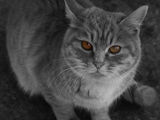 华山远游记（个人主页-ZNTc1NzEwNDA=） - 风光摄影 - 站酷设计师干草堆原创素材 - 站酷ZCOOL