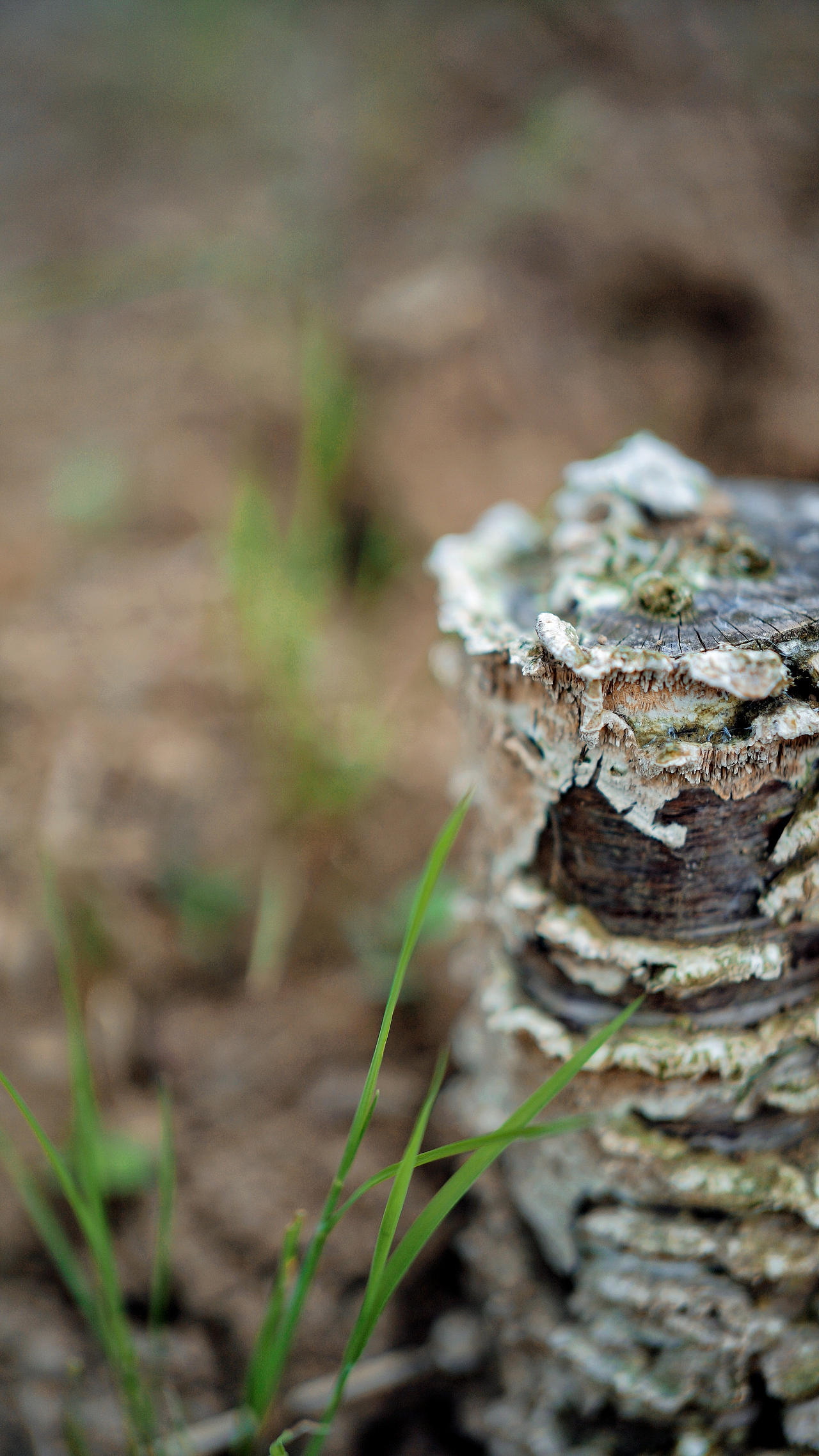 春风里 ~随处都是生机