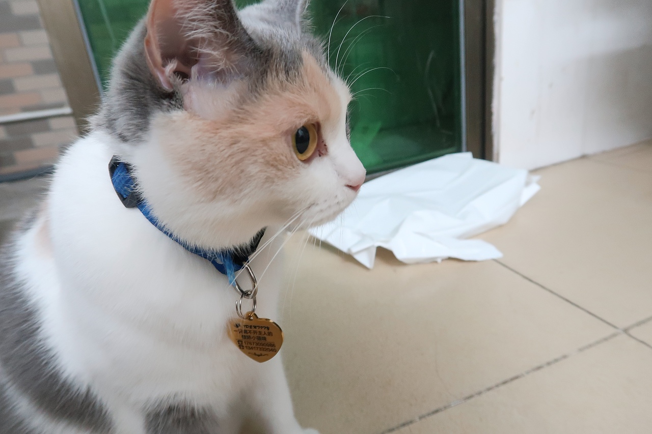 工作之余的摄影（图ZMTU3MTYzNTg0） - 风光摄影 - 站酷设计师yes田小田儿原创素材 - 站酷ZCOOL