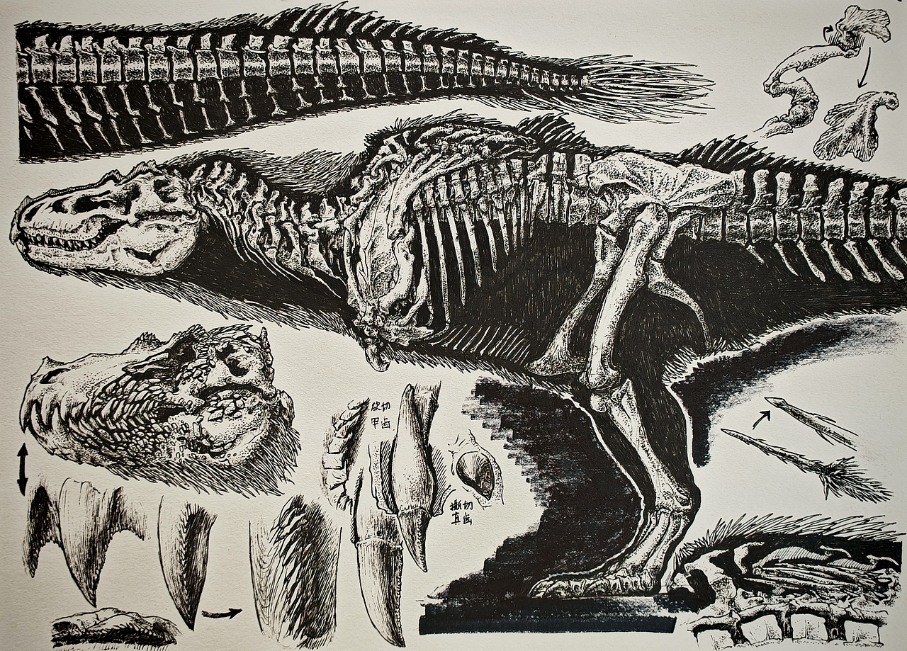 卡桑德拉(灻星)世界观
