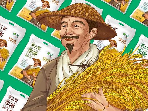 面粉包装设计｜内蒙古塞上星雪花粉