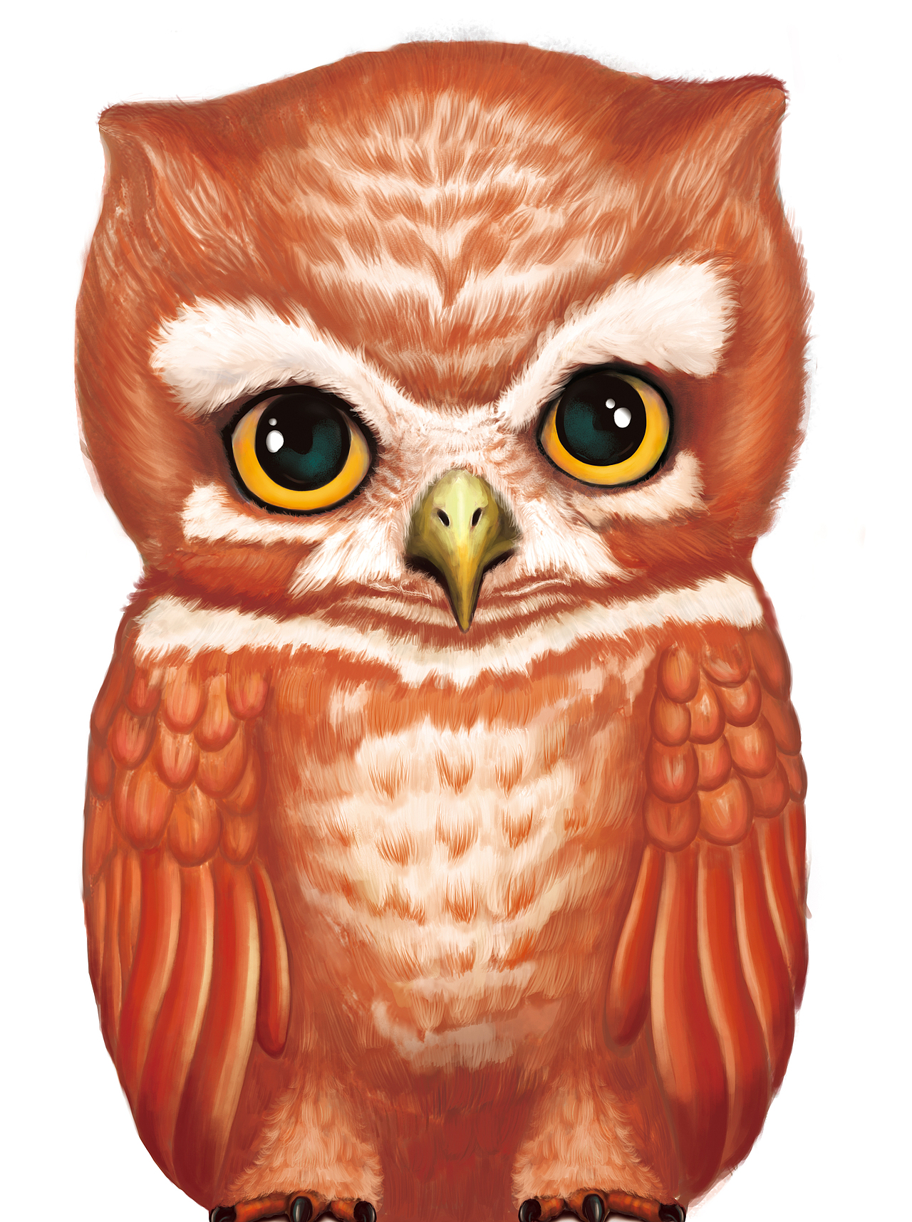 Owl（图ZOTA1OTYyMzY=） - 儿童插画 - 站酷设计师我是罗小白原创素材 - 站酷ZCOOL
