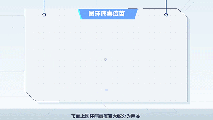 MG科普动画—国药集团—猪圆环病毒疫苗—悸动文化