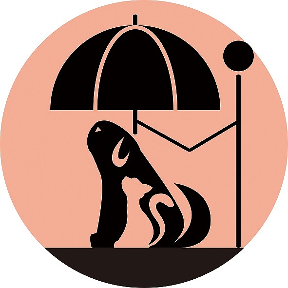 四月四日,世界流浪动物日.自己设计的第一款logo.