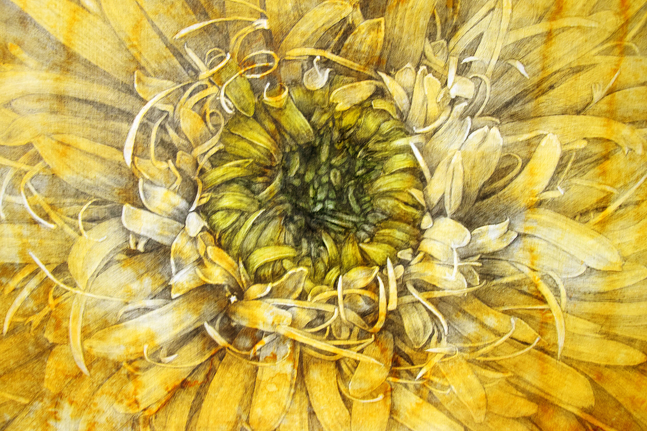 手绘《生命之花》