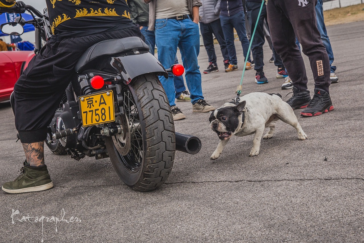 2016.04.02 金港复苏节暨車致五周年