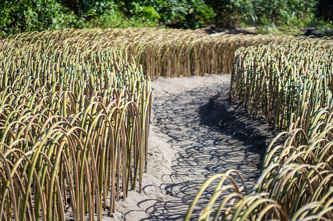 地景藝術《風的季節》（图ZMjQyNTc3MjI4） - 实验艺术 - 站酷设计师林靖格原创素材 - 站酷ZCOOL