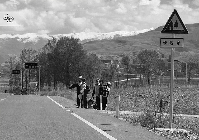 去年西藏