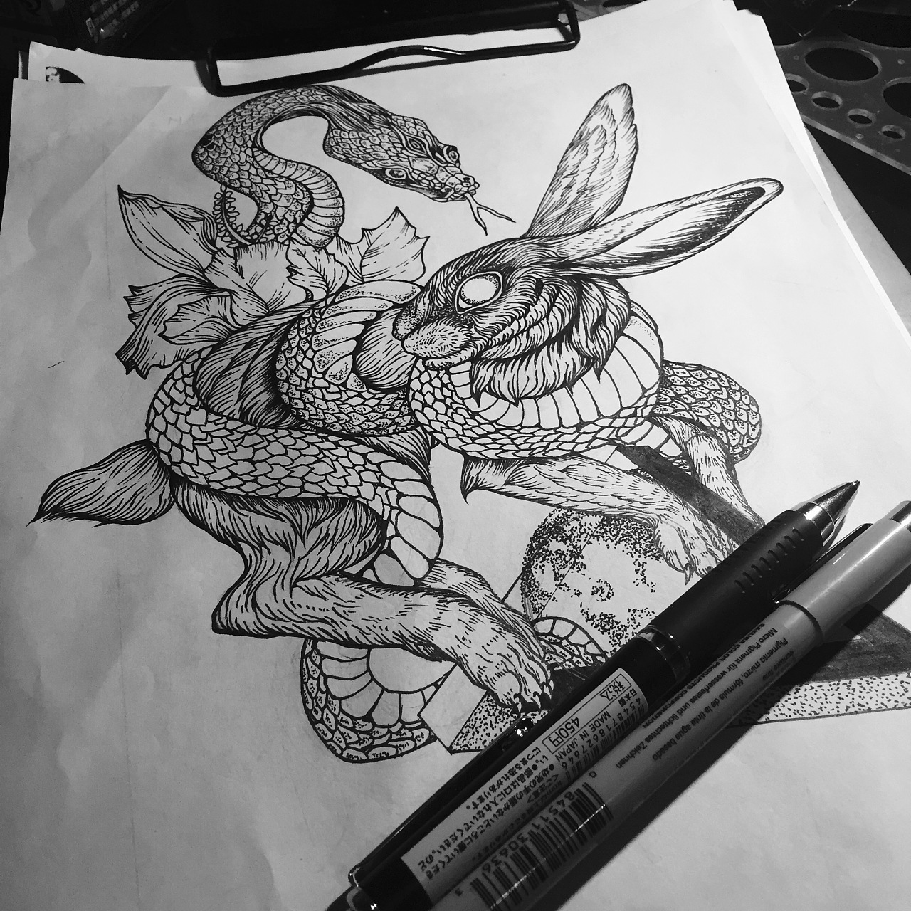 蛇盘兔素描图片