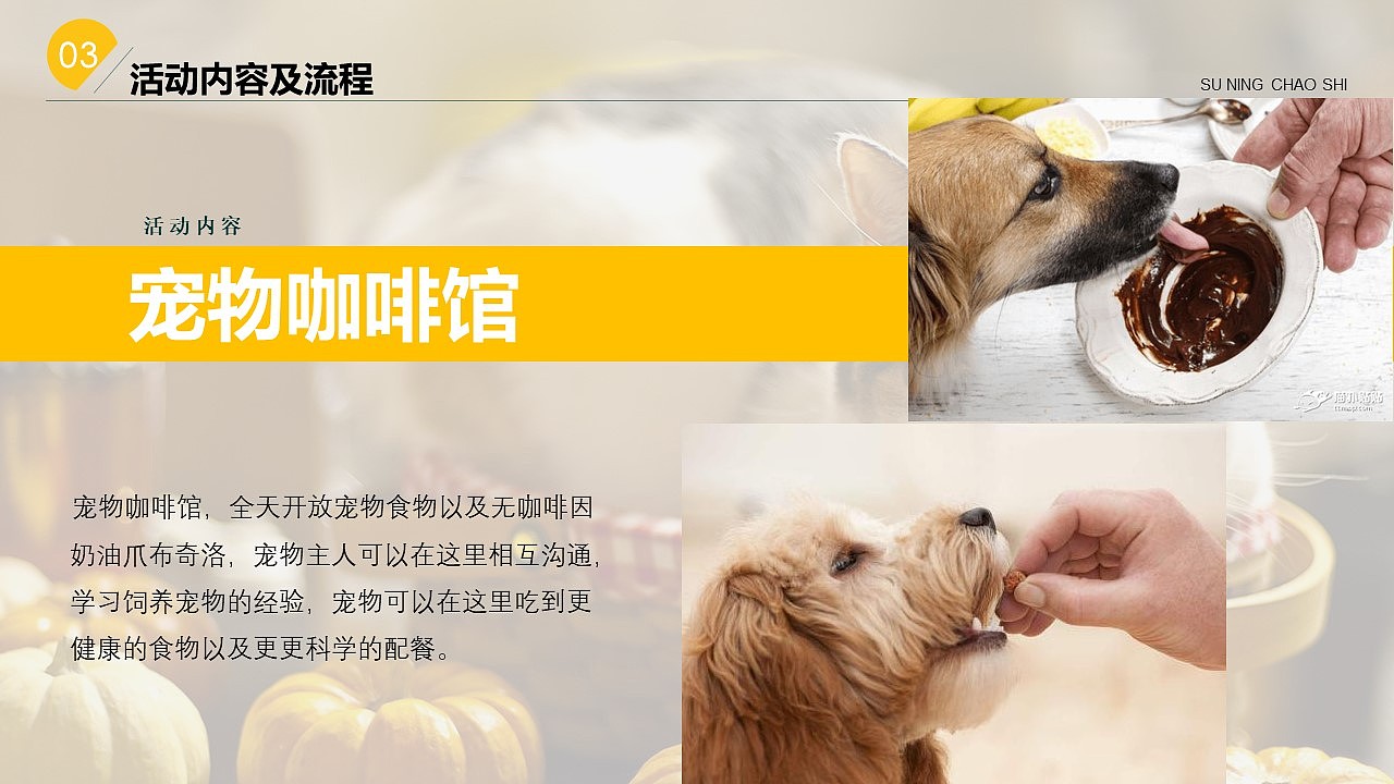 苏宁宠物相亲节（图ZMjg2OTUwMDEy） - 其他 - 站酷设计师策划米饭原创素材 - 站酷ZCOOL