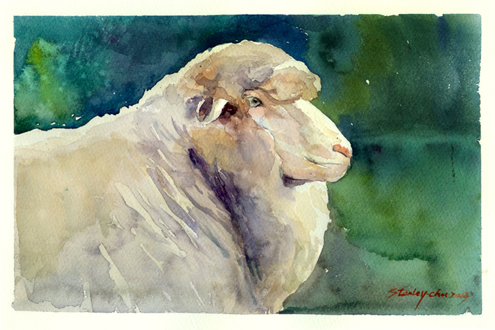 水彩绵羊