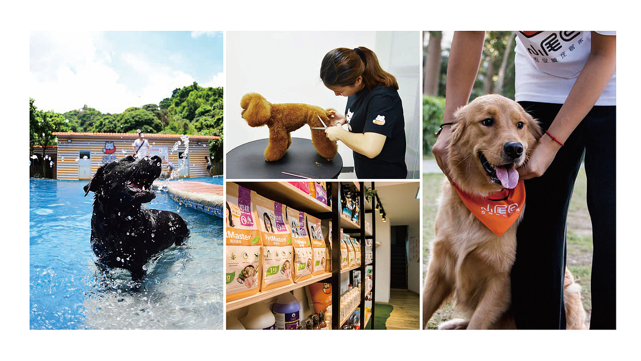 小尾巴品牌設計总结（图ZODI4ODkxNTI=） - 品牌 - 站酷设计师林穸原创素材 - 站酷ZCOOL