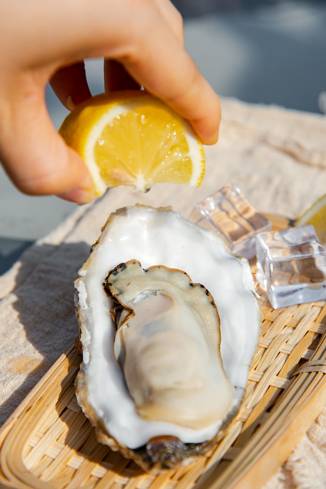 生蚝产品拍摄