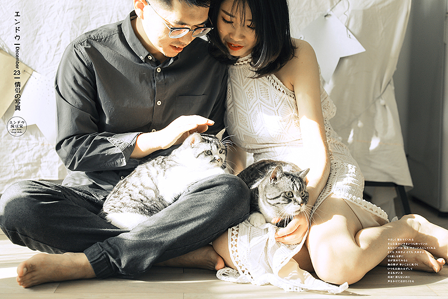 一只招财!一只进宝!给你俩的幸福加