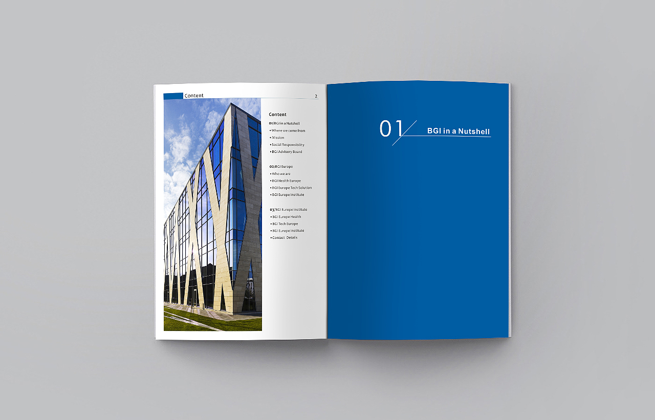 画册,英文画册,Product catalog,brochure