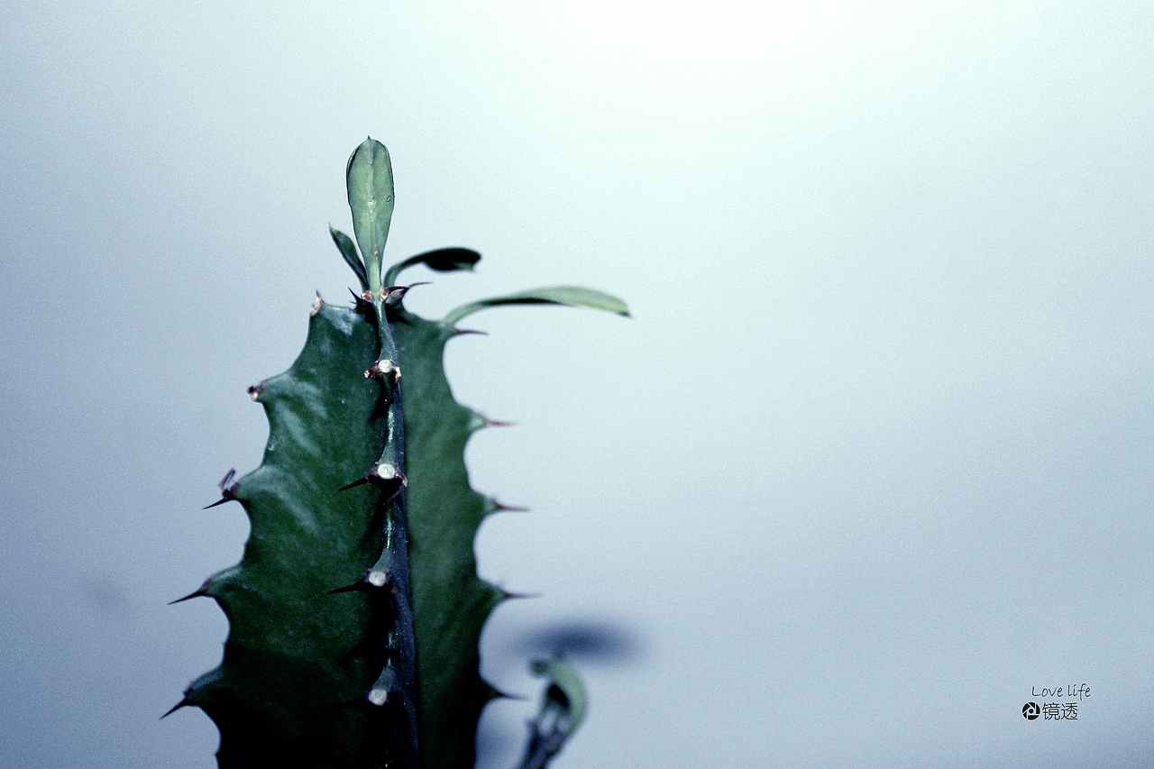 物件（图ZMjQ4NzY2MDQ=） - 其他摄影 - 站酷设计师519068931原创素材 - 站酷ZCOOL