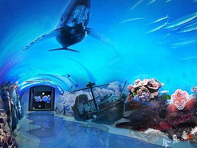 海洋系列全息投影，海洋投影，餐厅海洋系列投影素材