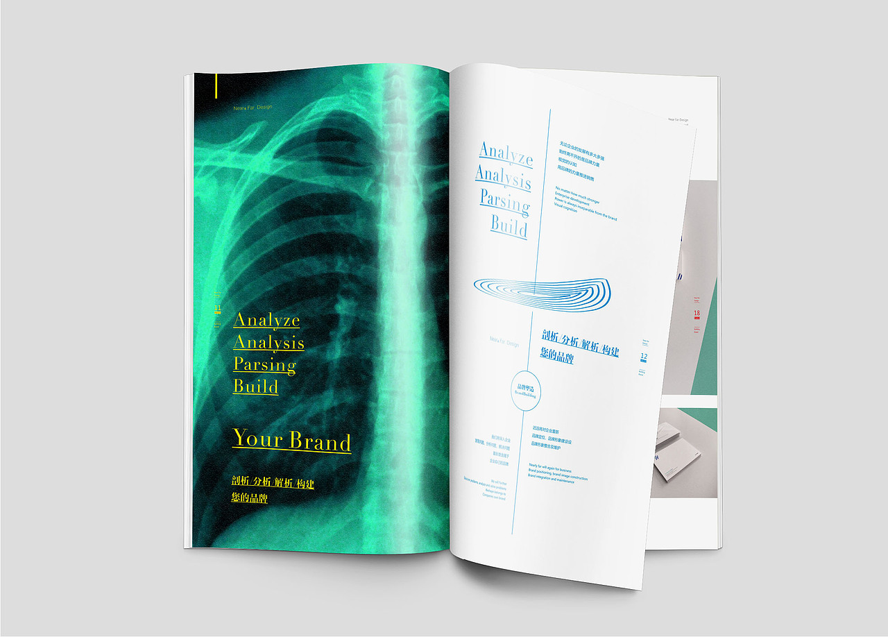 近远品牌形象画册