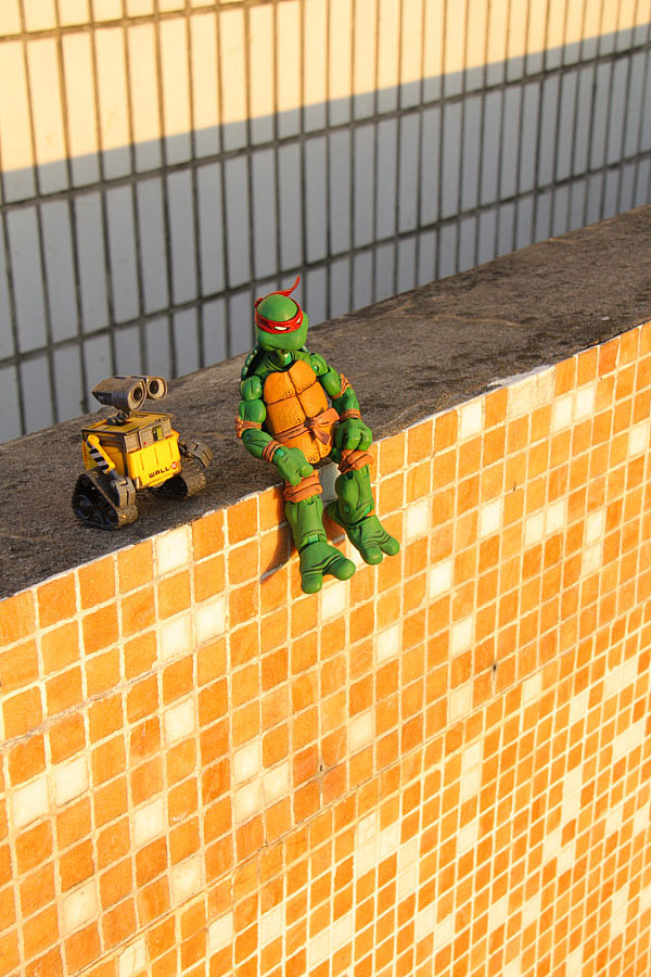 秋日午后 Donatello fratin' WALL-E