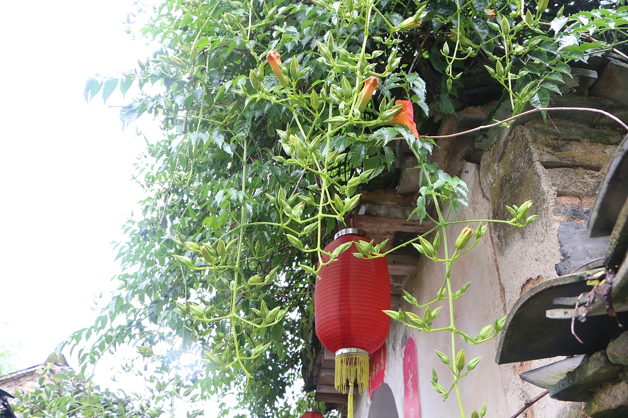 美好惬意的安徽之旅