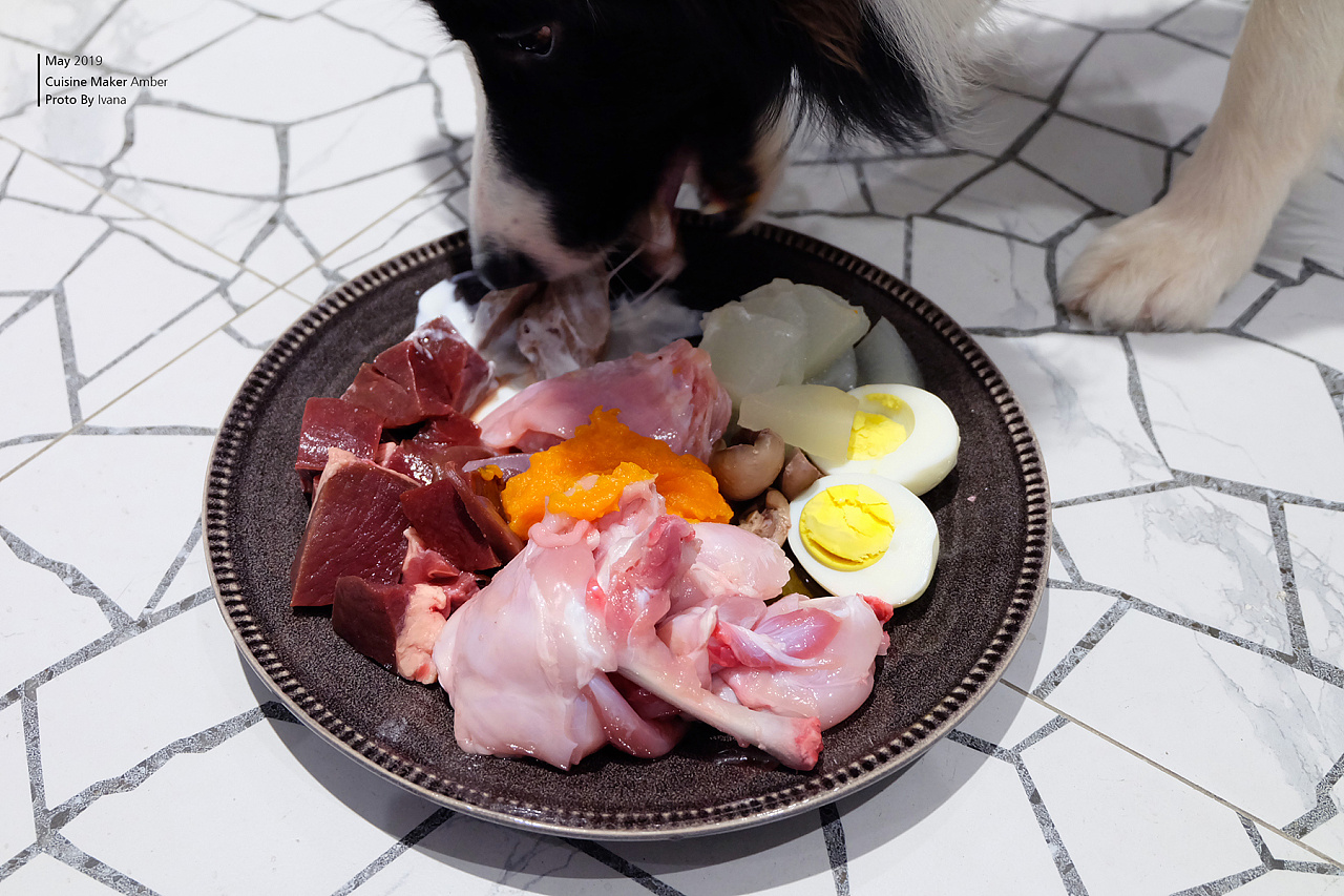 狗狗吃饭 篇一：你懂你家狗狗吗？狗狗这样吃饭又代表什么呢？（一）_狗狗_什么值得买