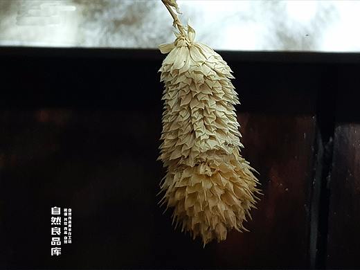 遲遲鐘鼓初長夜，耿耿星河慾曙天