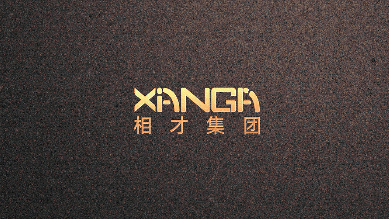 相才咨询集团LOGO设计提案