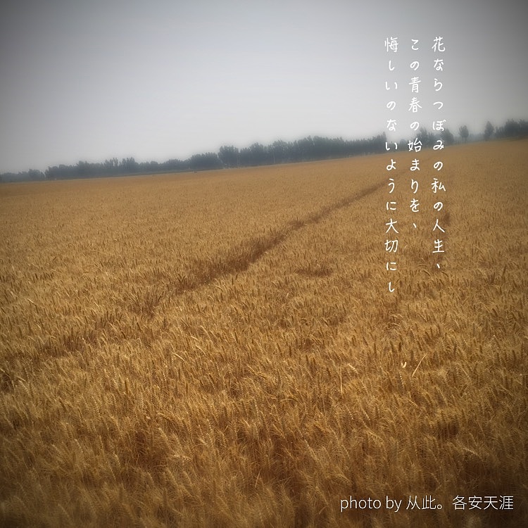 随拍（图ZNTE3MTM5MzY=） - 其他摄影 - 站酷设计师平凡的小流浪原创素材 - 站酷ZCOOL