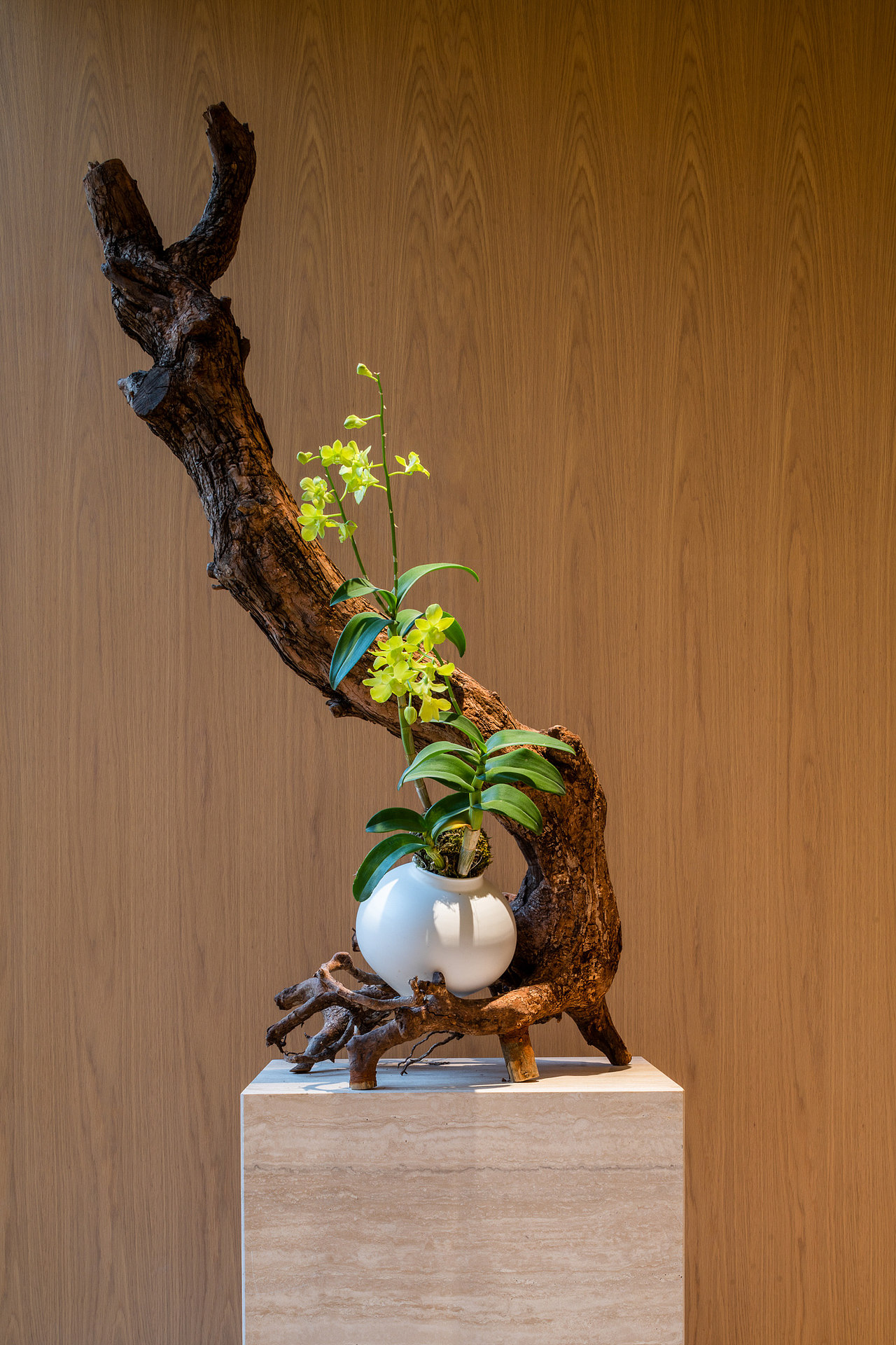 萬 科 · 京江隱翠