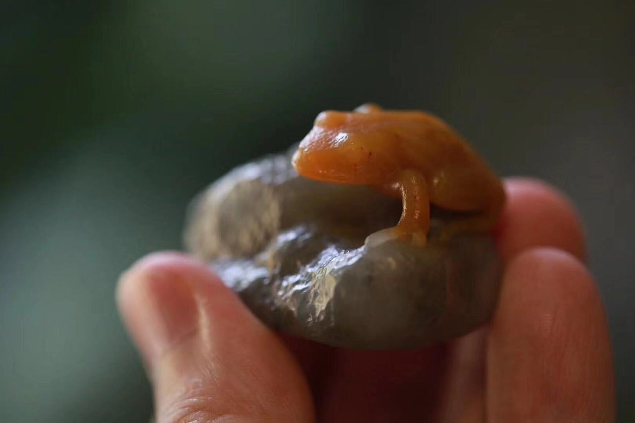 秋坞居青蛙蛤蟆手玩把件石雕作品