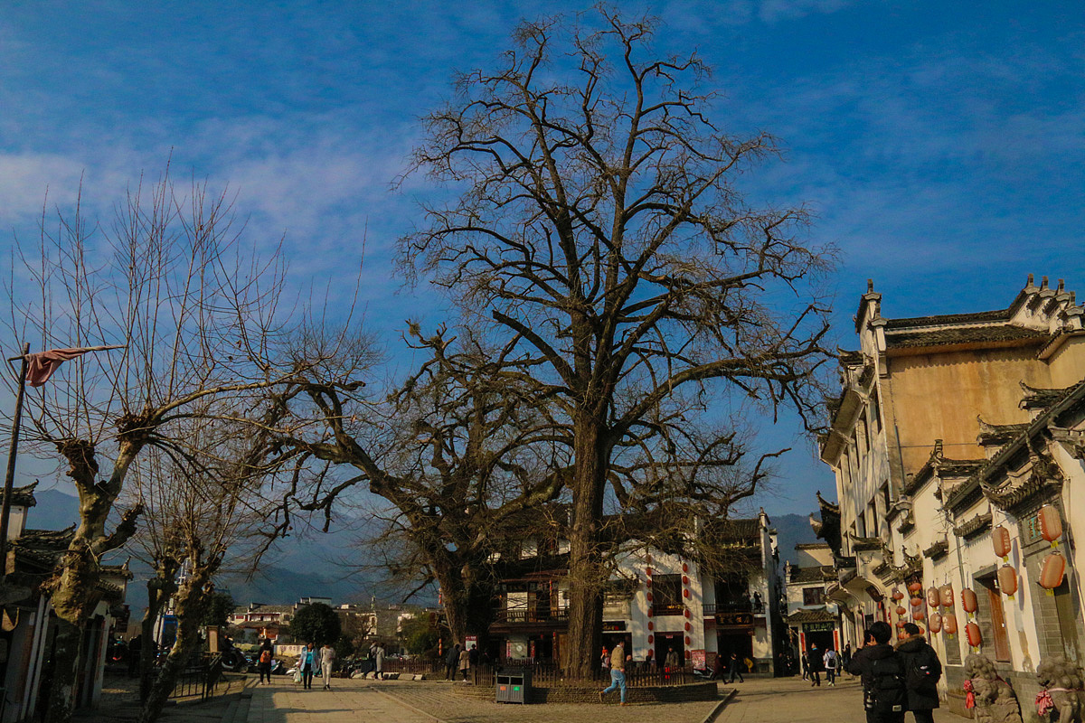 宏村与屯溪老街（图ZNjgwNzAxMjQ=） - 人文/纪实摄影 - 站酷设计师阳先森原创素材 - 站酷ZCOOL