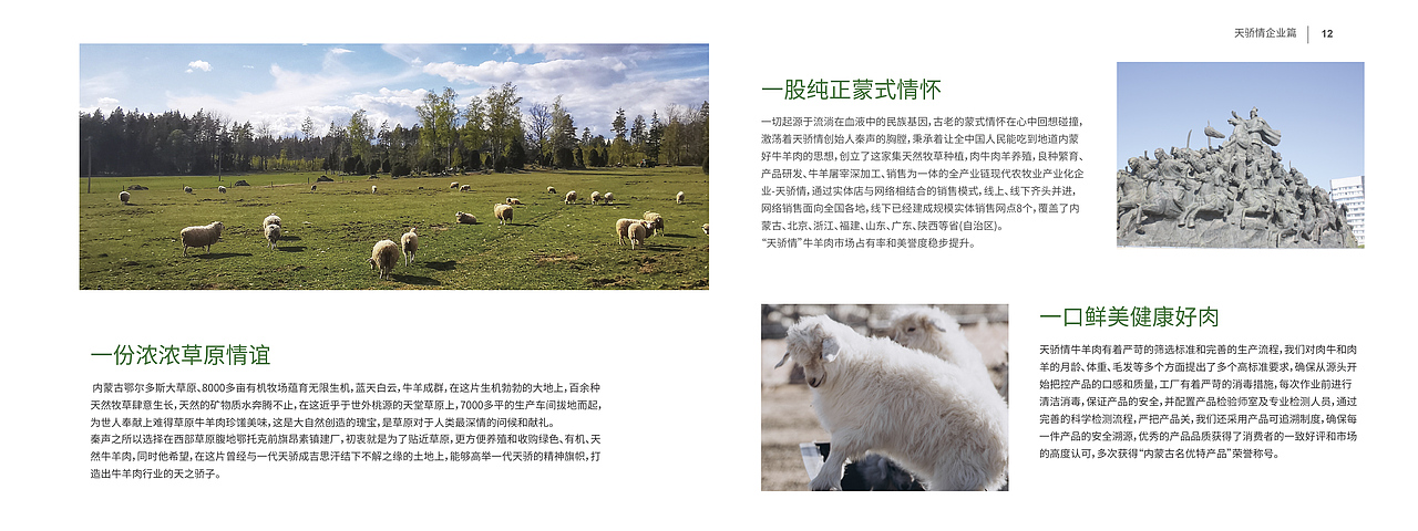 天骄情项目总结