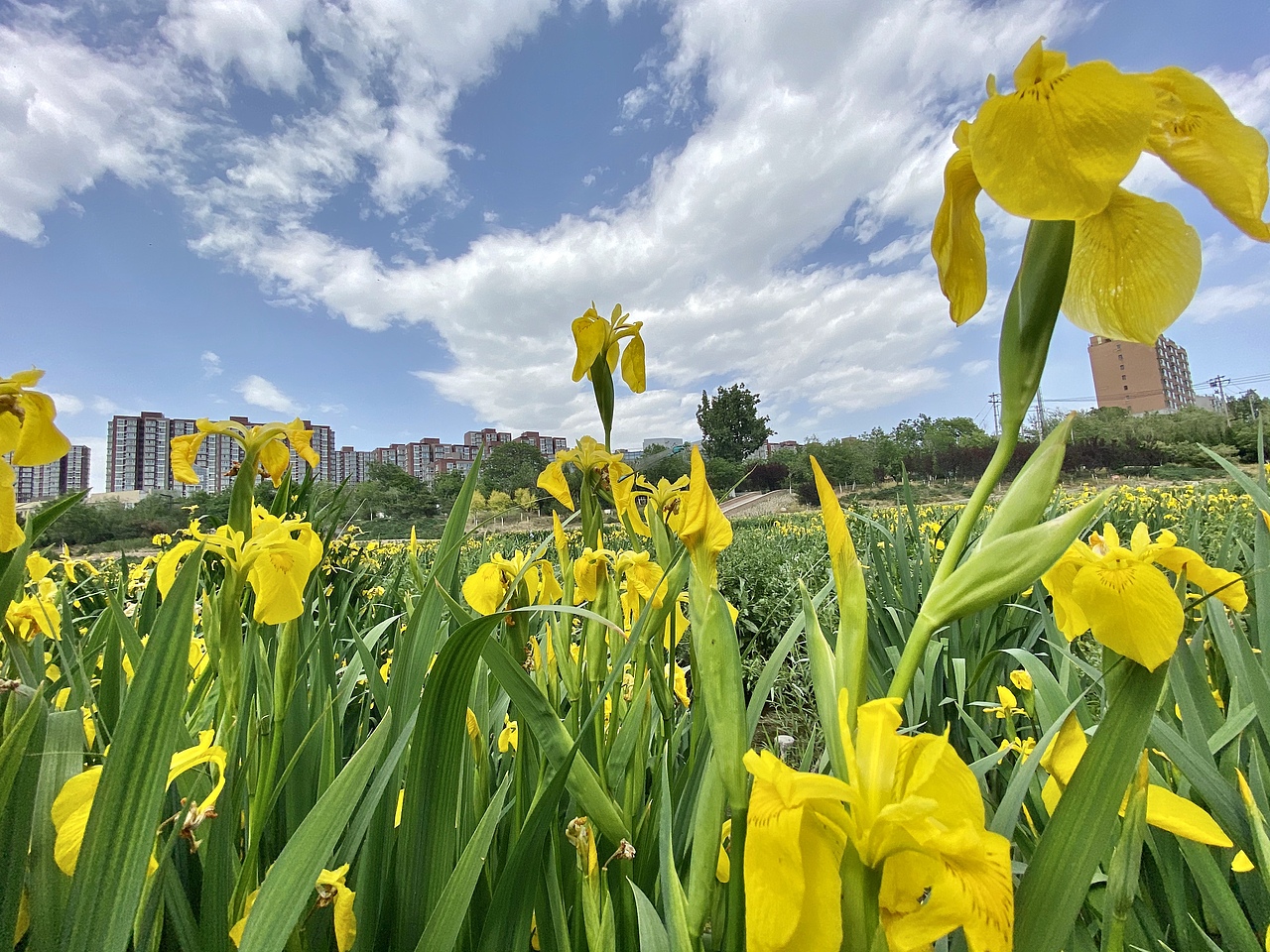 手机摄影-城市风光（图ZMjIzNjA2MTY4） - 环境/建筑摄影 - 站酷设计师灰鸡说原创素材 - 站酷ZCOOL