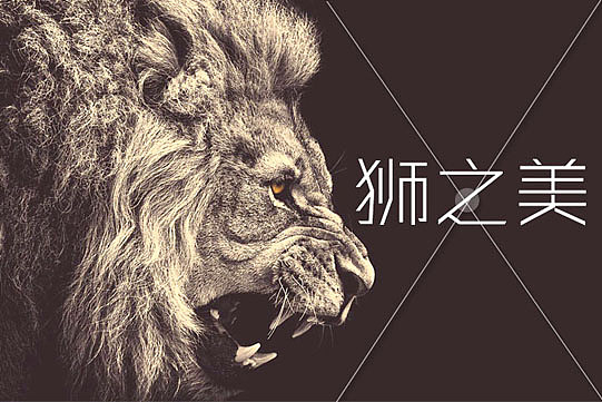 狮之美（图ZMjAwNDU0ODQ=） - 宣传物料 - 站酷设计师annanx原创素材 - 站酷ZCOOL