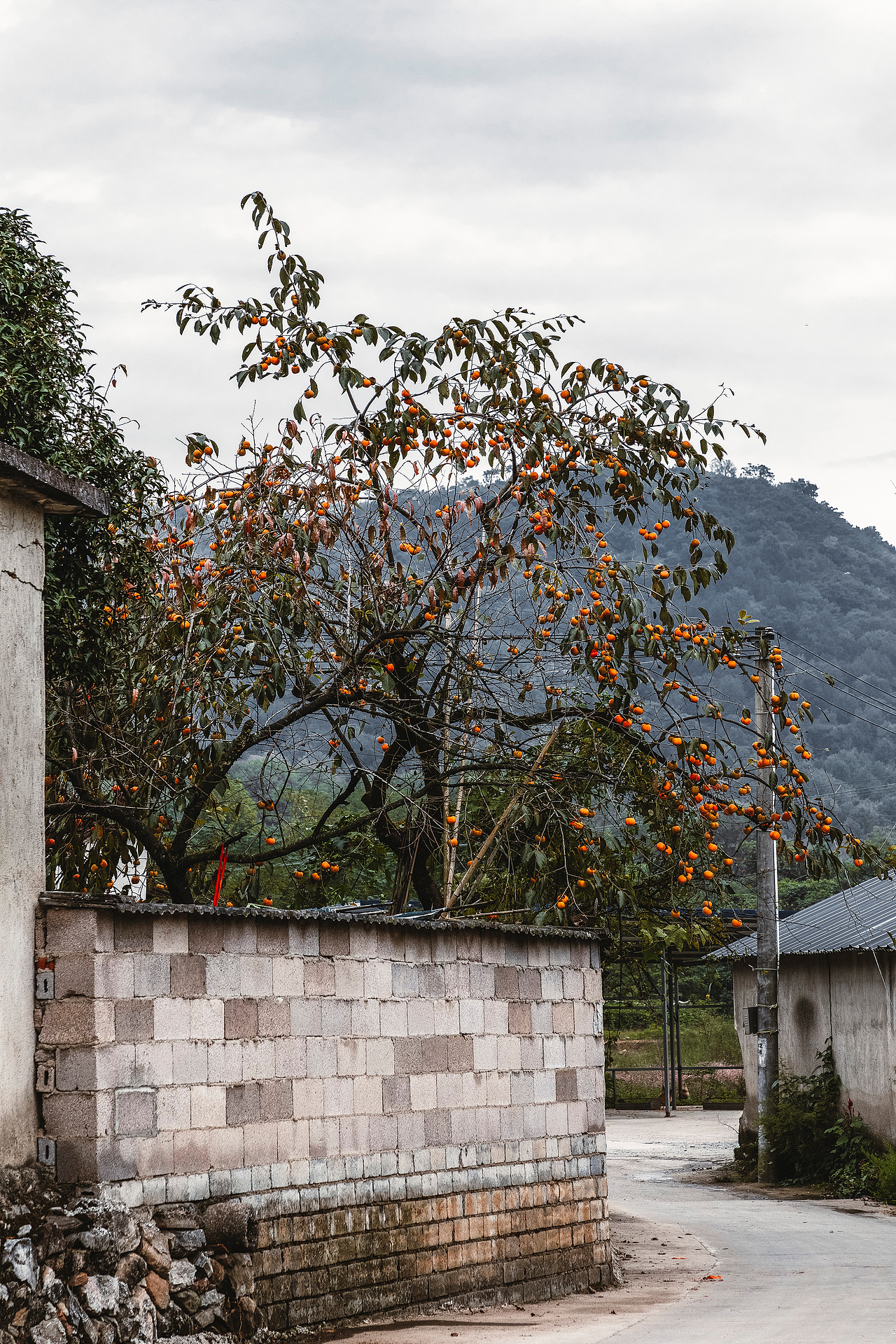 随处可见的农村场景（图ZMjI3MTIyNjcy） - 人文/纪实摄影 - 站酷设计师我有条狗叫汤圆原创素材 - 站酷ZCOOL