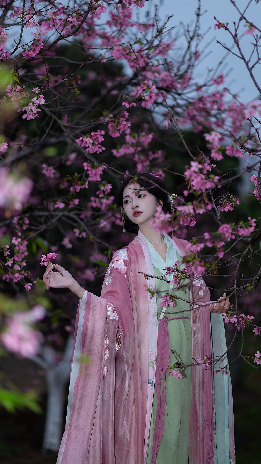 林花谢了春红,太匆匆