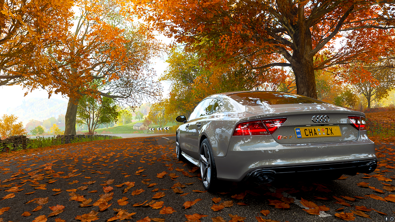 奥迪rs7 夸戳牌面