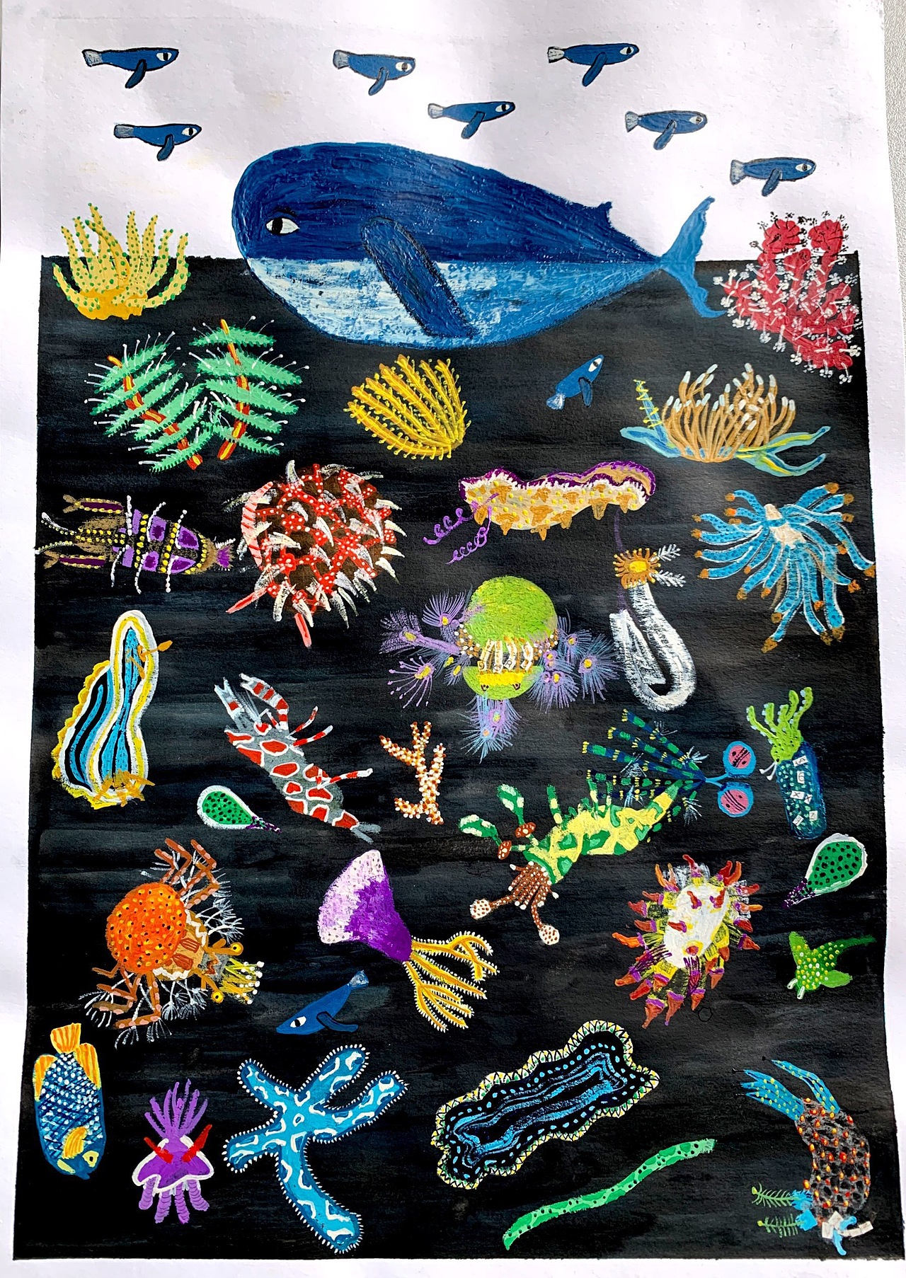 海洋生物（图ZMTU5NjA1MjA4） - 儿童插画 - 站酷设计师板栗梵原创素材 - 站酷ZCOOL