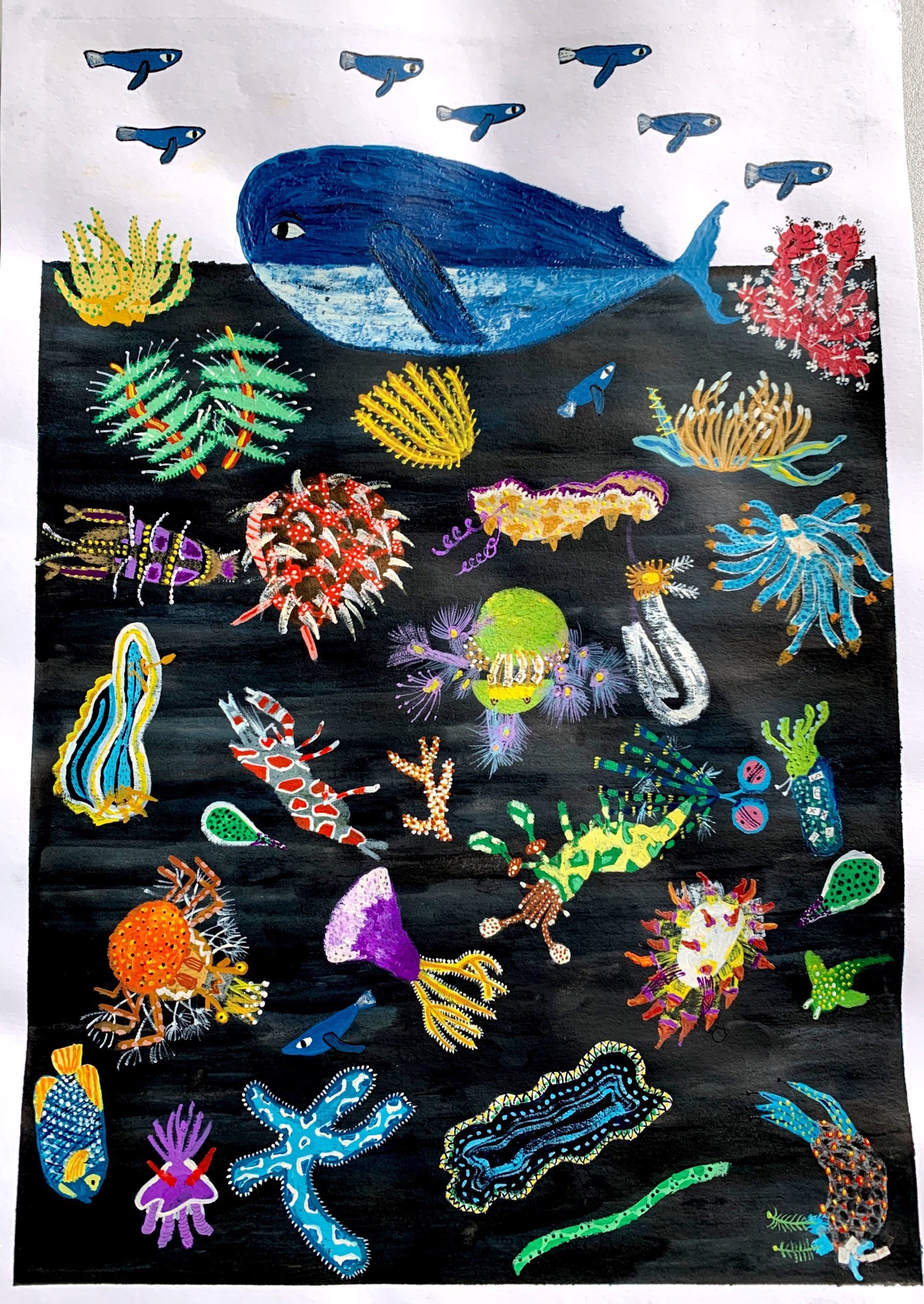 海洋生物|插画|儿童插画|一只圆圆圆喵 - 原创作品 - 站酷 (ZCOOL)