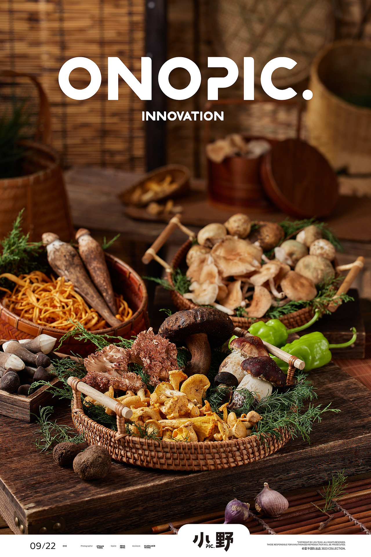 科默农业🍄菌子 松茸拍摄