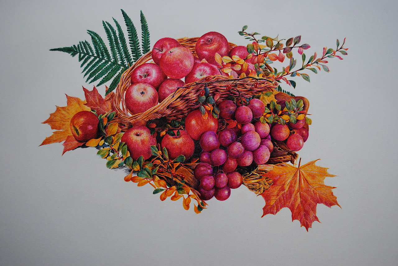 OY彩色圆珠笔画60小时作品