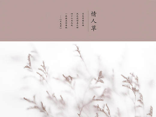 花雾