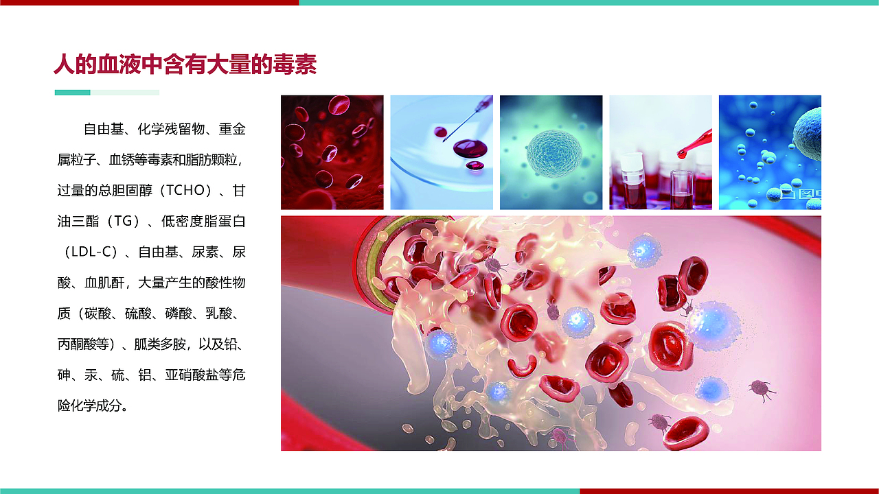 人体血液净化疗程 产品手册|平面|宣传物料|艺舟1014_原创作品-站酷