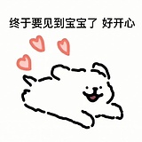 不吃蓝莓的头像