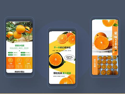 农产品产品详情设计