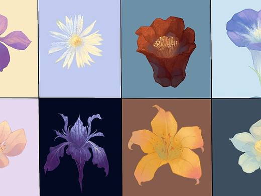 花卉练习（个人主页-ZNjcwMDU5Njg=） - 创作习作 - 站酷设计师九天银河原创素材 - 站酷ZCOOL