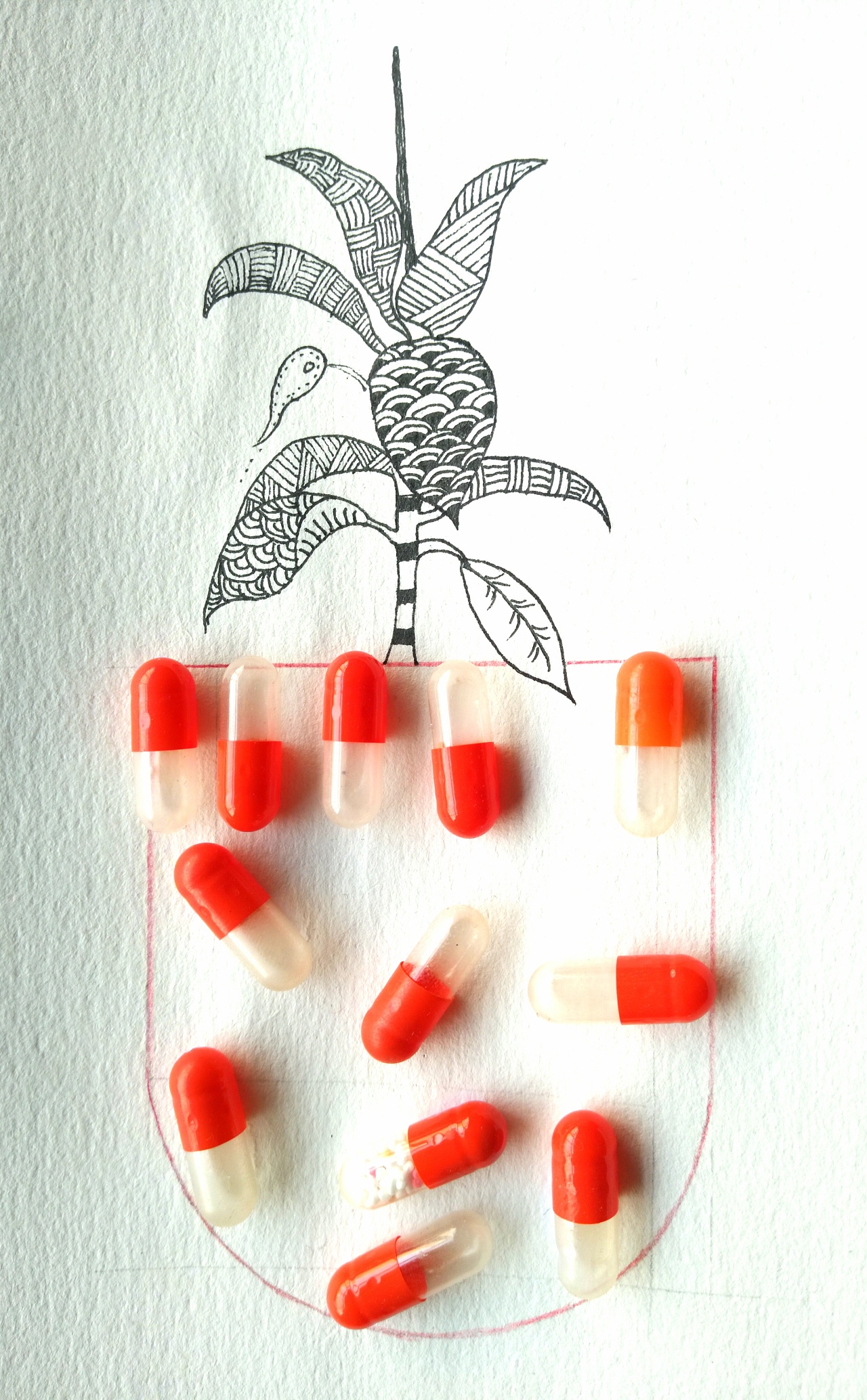 胶囊与彩铅画,装饰画的结合创意